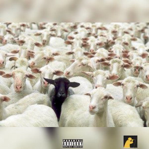 Black Sheep