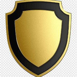 LYRICAL PROTECTOR 