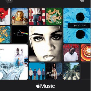 Tasteless  (Apple itunes Spotify+ more)