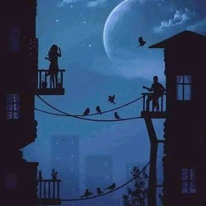 Day and night