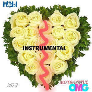РОЗЫ INSTRUMENTAL