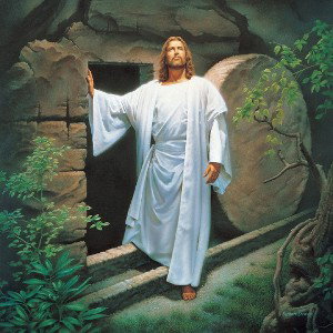 My lord 