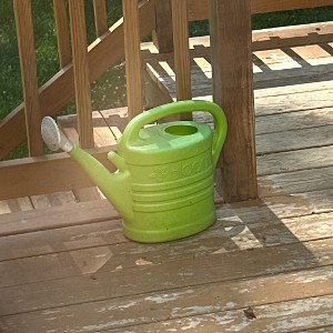 back porch task force