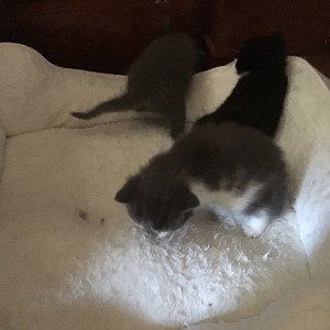 Look at me!