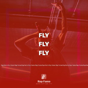 Fly