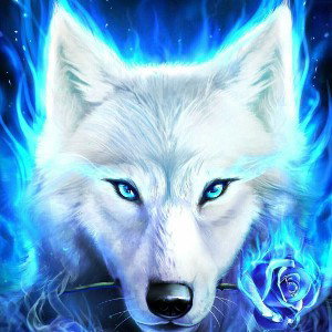 Wolf World 