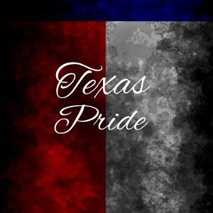 956 south texas