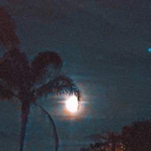 dream less 