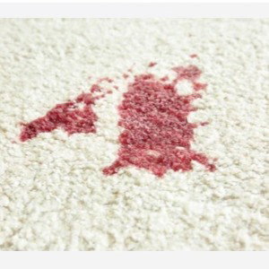 Blood Stains On The Carpet
