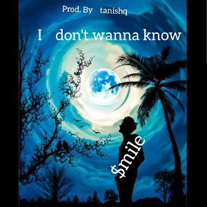 i don't wanna know_-_extended-lil smile prod. by tanhiq