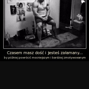 WSTECZ/jackfight 