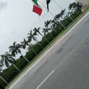 sincero bandido