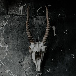 Tha Banshee- DRAWN TO DARKNESS - Prod by Jurrivh & TunnA Beats_