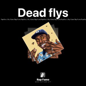 Dead flys 