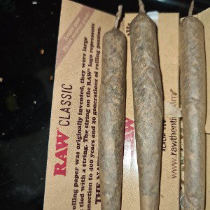 b1 b1oxay weeboxay 