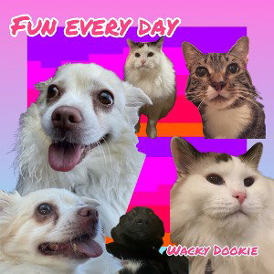 fun every day
