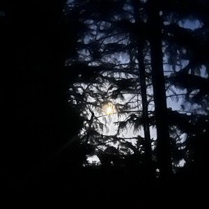 SUNSET fristillol (17:46:38)
