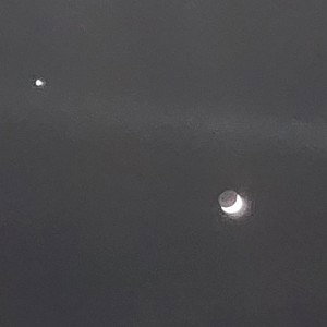 fly away