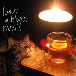 Почему не любишь меня ?