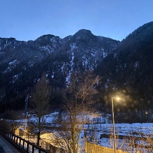 Berło