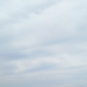 крылья