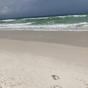 Ocean views 