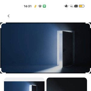 Hush Doors
