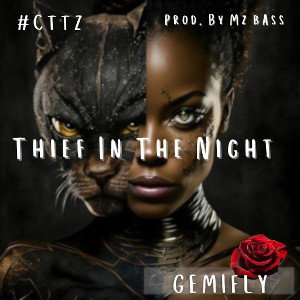 Thief In The Night🌹