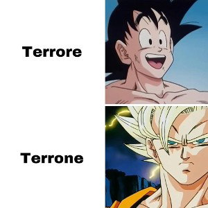 terr1