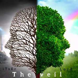 the veil
