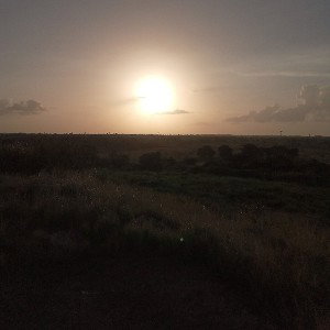 EL ULTIMO POETA-SUEÑA