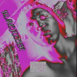 wAVE P0TTER