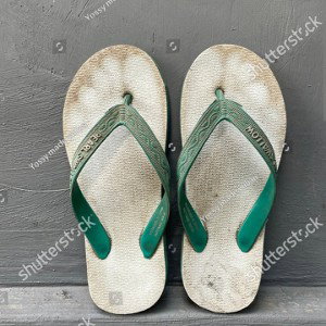 Flip Flop