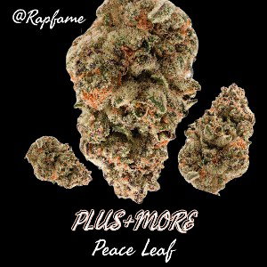Peace Leaf