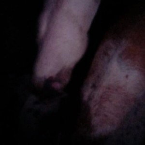 LAS COSAS QUE MUEREN  -Sustancia negra