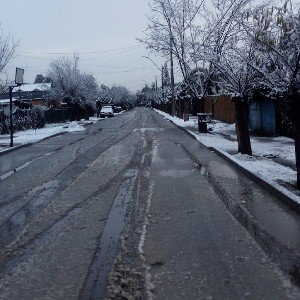 camina camina