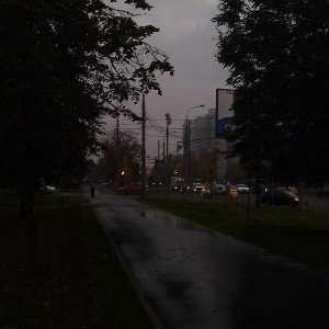 dxmo