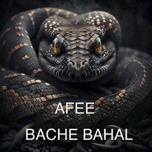 BACHE BAHAL