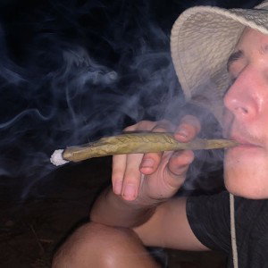tolerance2Heavy