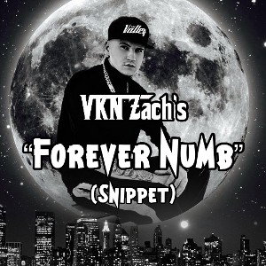 Forever Numb (Snippet)