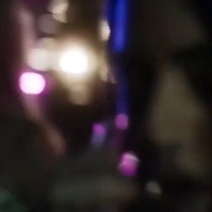 Pimp Bell (Feat. Hanpi LJ)