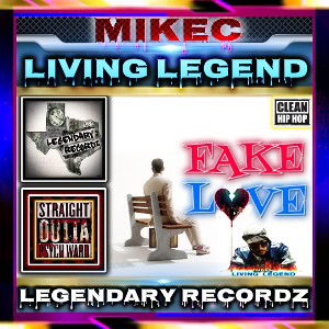 Fake LovE