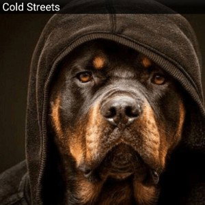 Cold Streets