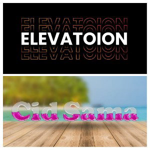 ELEVATOION 