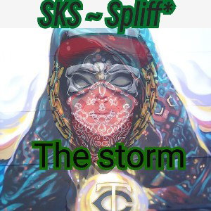 the storm