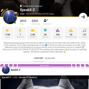 COUNT DOWN PUSSY 