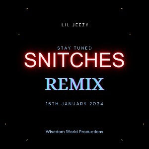 Snitches (Remix)