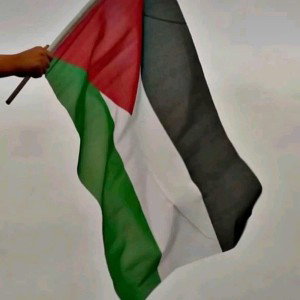 Le Seum - Palestinien