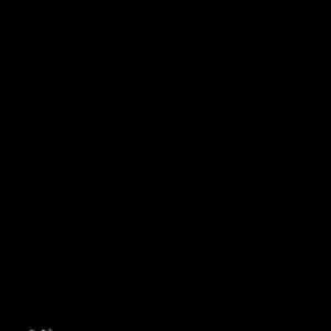 ‌