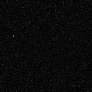 |